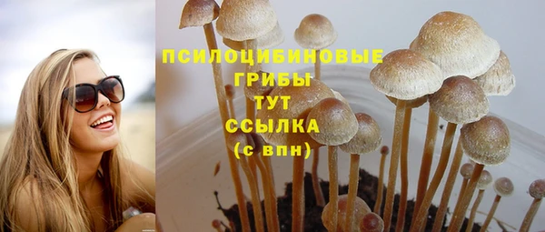 метадон Струнино