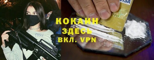 стаф Волосово