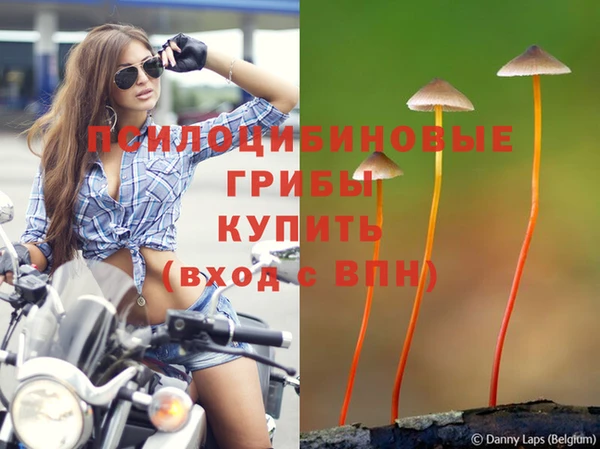 хмурый Волоколамск