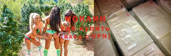стаф Волосово