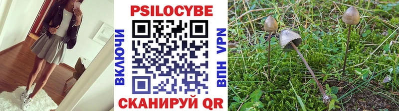 цены наркотик Питкяранта Псилоцибиновые грибы мицелий